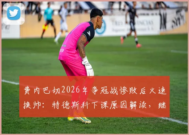 费内巴切2026年争冠战惨败后火速换帅：特德斯科下课原因解读，继任者候选分析与球队未来展望